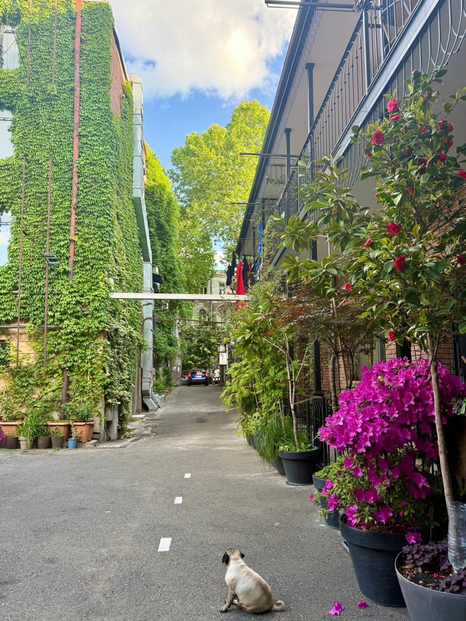Old Tbilisi Apartments1 ภายนอก รูปภาพ